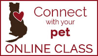 Connect with Your Pet Online Class