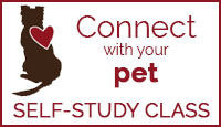 Connect with Your Pet Self-Study Class